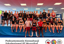 Podsumowanie konsultacji szkoleniowej PZMT