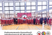 Podsumowanie konsultacji szkoleniowych PZMT