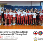 Podsumowanie konsultacji szkoleniowej PZMT